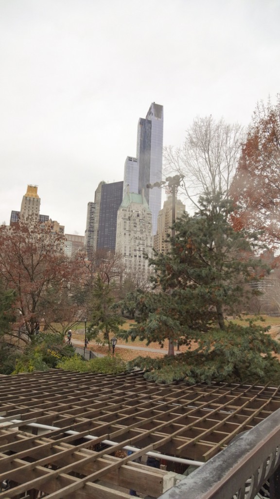 central park3